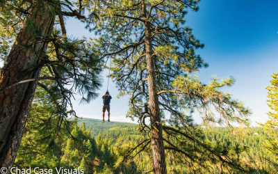 Timberline Zip Line